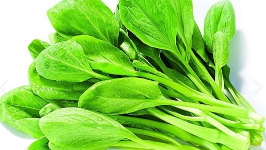 鸡毛菜的功效作用功能主治是什么，有什么功效作用好处？
