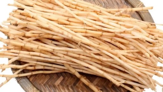 茅根的功效作用功能主治是什么，有什么功效作用好处？
