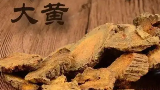 大黄的功效作用功能主治是什么，有什么功效作用好处？