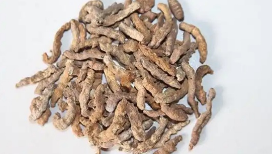 炒僵蚕的功效作用功能主治是什么，有什么功效作用好处？