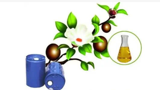 山茶籽油的功效作用功能主治是什么，有什么功效作用好处？