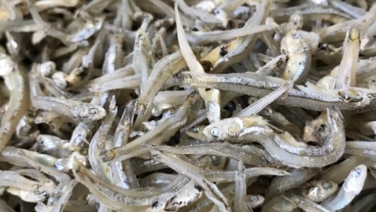 鱼干的功效与作用是什么，有什么功效作用与好处？