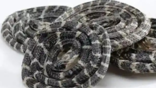 金钱白花蛇的功效作用功能主治是什么，有什么功效作用好处？