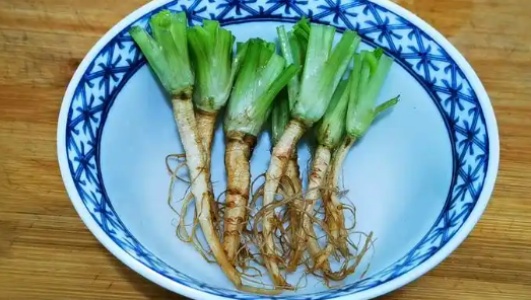 香菜根煮水喝的功效作用功能主治是什么，有什么功效作用好处？